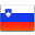 Slovenia-flag.png