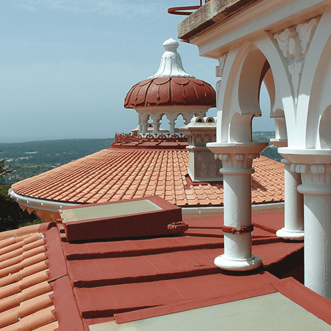  Etex has sold its clay tile business in Portugal to roofing specialist EDILIANS