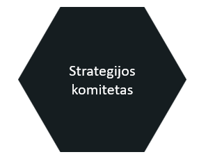 strategijos_komitetas_etex.png